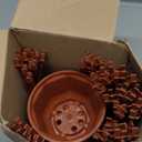 Roshtia 24 Pcs Hanging Plastic Planter Pot with Hook Flower Pots Baskets Hanging Nursery Planter Holder for Outdoor Indoor Plant Garden(Brown,3.7 Inch)