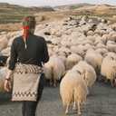 4 x Hair Clips for Women Girls Cute Hair Pins with Bows Hair Ribbons for Long Tail Butterfly Barrettes Bowknot Cute Hair Accessories Black Red, 8 Pack