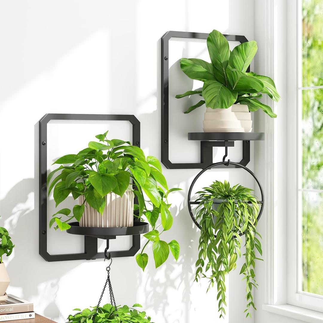 iDavosic.ly Wall Plant Picture Frame Holder Set of 2 for Indoor, Metal Stand with Hanging Hooks, Floating Flower Display Decor, Space Saving & Easy to Assemble (Pots/Chains/Plants Not Included) (Rectangular - 2 Pack, Black)