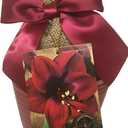 Daylily Nursery Elegant Black Pearl Amaryllis Gift Growing Kit, Deluxe Edition. Includes Beautiful Ceramic Pot, Big Black Pearl Bulb, a Burlap Gift Bag and Professional Growing Medium.