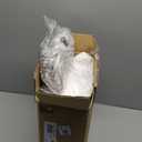 Sunbeam Electric Heated Mattress Pad Full 75" x 54" 12 Heat Settings 12-Hour Auto Shut-Off Fast Heating Soft Cozy Fabric Deep Pocket Skirt Machine Washable (White Non-woven)