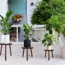 Amdermi 3-Pack Wood Plant Stands Indoor, Single Plant Stand for 6-12 Inch Pots, Mid-Century Modern Plant Stool, Tall Plant Stand for Large Plants for Living Room, Balcony, Office