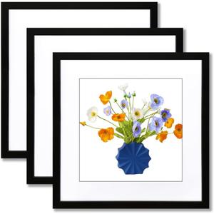 THREELOVE 16x16 Frame Black, Display Picture 12x12 with mat or 16x16 Without mat, Photo Poster Picture Frame Wall Mounting Home Decor, 3 PCS