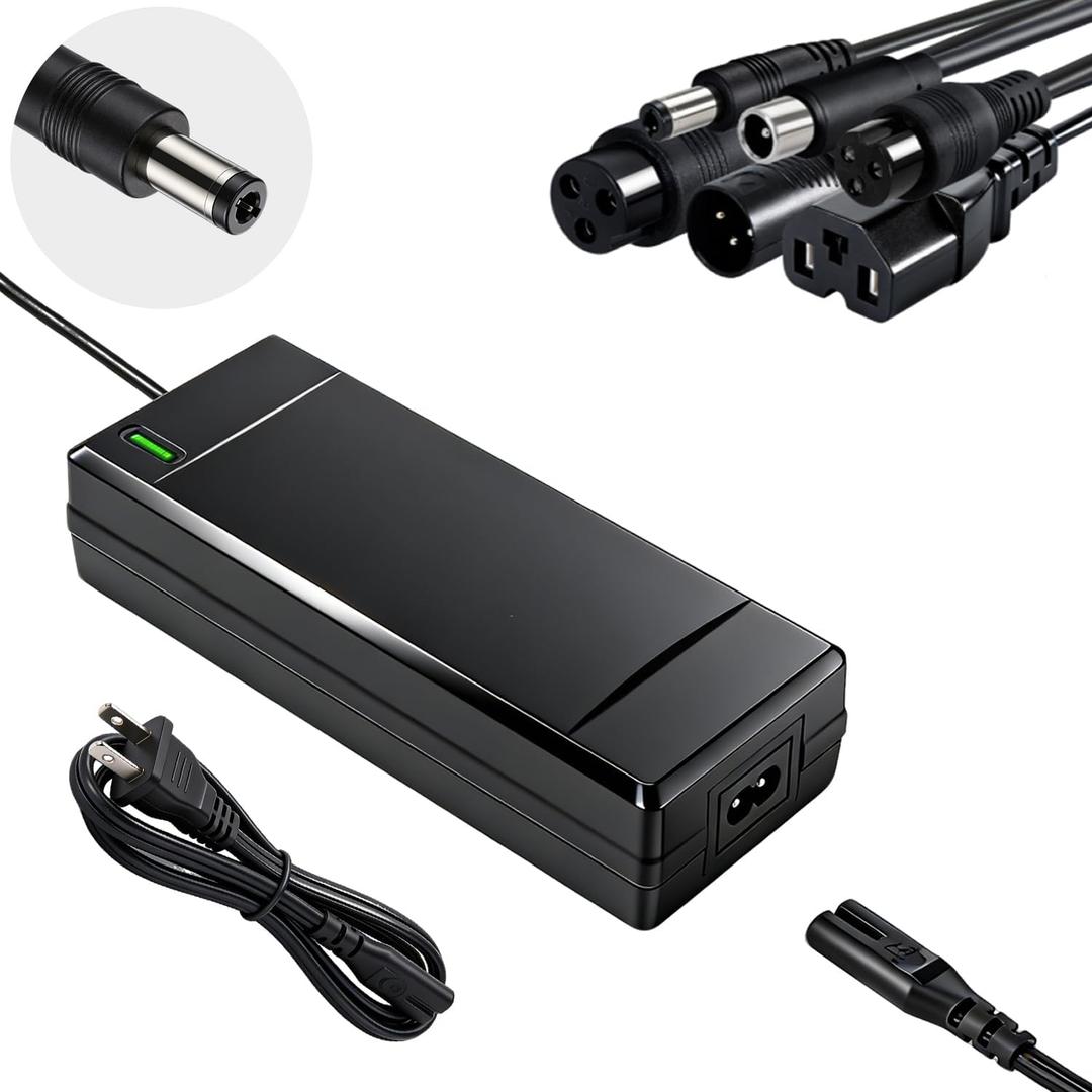 SGS Certified 54.6V 2A Fast Electric Bike Charger with 7 Plugs for 48V Lithium Battery, Compatible with Ebike Lectric XP 2.0/3.0, Ecotric City/Beach, Evercross H5/H7