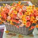 Fake Mums Fall Artificial Flowers Plants for Outdoors Autumn Decoration, 12 Bundles Silk Morning Glory with Eucalyptus Realistic UV Resistant Faux Mums for Outside Planter Yard Garden Home Indoor, Mix (3 Mixed Color(3 Orange, 3 Light Orange, 3 Yellow))