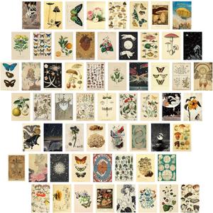 Gersoniel 60 PCS Vintage Collection Postcard Set Retro Style Botanical Butterfly Mushroom Nature and Ephemera Postcards for DIY Card Paper