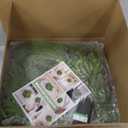 Round Boho Ivy Wall Decor: 2 Pcs 20 Inch UV-Anti Hanging Framed Faux Greenery Leaf Vines Art for Indoor & Outdoor Farmhouse Home Plant Decor - Living Room, Bathroom, Office,Patio