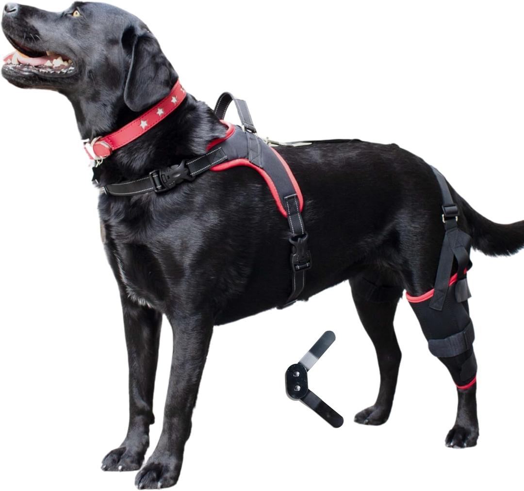 Dog Knee Brace with Harness Premium Support for Torn ACL, Hind Leg Injuries, Luxating Patella, Arthritis & Cruciate Ligament Care, Dog Leg Brace Back Leg - Left Med, Size M