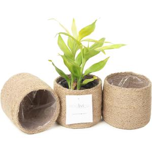 Jute Planter Basket-Woven Jute Rope Covers for Decorating Indoor/Outdoor Succulents, Small Plant Pots-Set of 3-Multi-Purpose Storage Bins 4.5 Inches -Modern Style Decor -Natural Jute