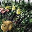 YARDGARD – 4 in. to 1 in. Mesh Welded Wire Fence – 28 in. x 50 ft. 16‑Gauge Vinyl Coated Galvanized Steel – for Rabbit Fencing | Garden Protection | Tree and Flower Barriers