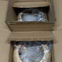 Gold Battery Operated Wall Sconces Set of 2 with Remote, Rechargeable Rattan Battery Powered Wall Lights/Lamps, Wireless Boho Lighting Fixtures for Bedroom Farmhouse, 15 Colors Dimmable,8''