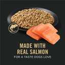 Purina Pro Plan Sensitive Skin and Stomach Dog Food Wet Classic Pate Salmon and Rice Entrée - (Pack of 12) 13 oz. Cans, BBD: JUN/2028