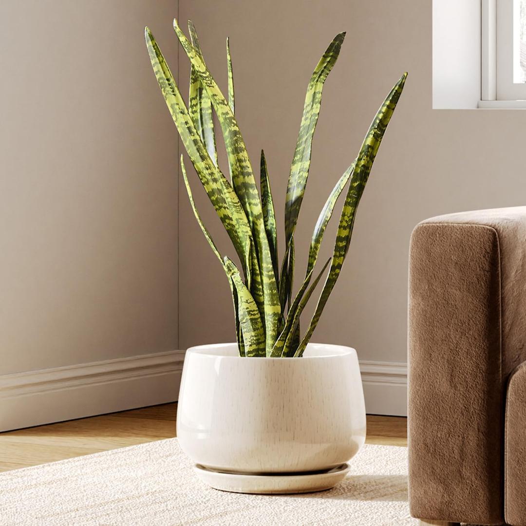 LE TAUCI Ceramic Planters, 10 Inch Plant Pot with Drainage Holes and Saucers, Stylish and Durable Planter, Plant Pots Indoor, Gift for Mom, Reactive Glaze Beige