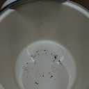 Enameled Cast Oven Pot