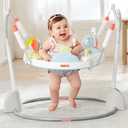 Skip Hop Baby Activity Play Bouncer for Baby Ages 4m+ Silver Lining Cloud, Foldable