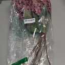 Ttranewsoo Burgundy Hydrangea Artificial Flowers,Fall Hydrangeas Artificial Flowers, Fake Fall Dried Hydrangea Decoration,Faux Silk Flower with Stems Winter Decor(Red Rose 24" 8pcs) Without Vase