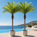 7ft Artificial Phoenix Palm Tree, Faux Coconut Silk Tropical Fake Palm Plant for Indoor Outdoor Home Office Patio Bathroom Pool Coastal Decor(Set of 2)