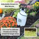 Flo-Master by Hudson 24101 1 Gallon Lawn and Garden Tank Sprayer, Translucent