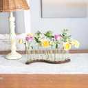 Test Tube Vases for FlowersSmall Plant Propagation StationS Shape Plant Terrarium with Wooden Stand(Amber)