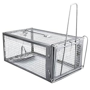 Gingbau Rat Trap Humane Live Mouse Chipmunk Trap Cage (Not For Squirrels)