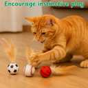 Cat Bouncy Ball with Feather and Catnip Fish Toy set, Soft Cat Toys Fish Shaped Catnips Toys, Interactive Chew Catnip Kicker Toy With Crinkle Sound, Feather Ball For Indoor Cats Kitten (Sport)