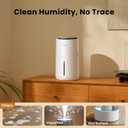 Provirtec MistFree Evaporative Humidifier for Bedroom, 3L No White Dust for Sensitive Individuals, Auto Humidity Control, Works with Tap Water, Night Light, Easy Clean Tank for Home & Small Room