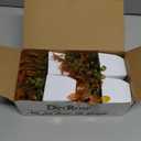 Der Rose 4 Pack Fall Fake Plants Mini Artificial Greenery Potted Plants Fall Decorations for Home Decor Indoor Office Table Room Farmhouse Bathroom Fall Decor (Orange)