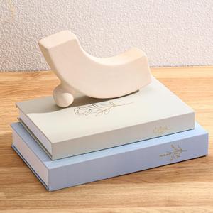 Cinnvoice Set of 2 Aesthetic Decorative Books Boxes, Faux Books Stacked for Decoration for Coffee Tables Modern Home Bookshelves Decor, Fake Fashion Photo Storage Boxes (Baby Blue Beige)