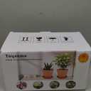 6 Pack 6 Inch Terracotta & Clay Pots with Saucer for Plants, Large Terra Cotta Plant Pot with Drainage Hole, Flowerpot for Indoor Outdoor Plants, Crafts, Wedding Favor