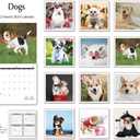 4 x 2026 Wall Calendar - Calendar 2026: January 2026 - December 2026, 12" x 24" (Opened), Full Page Monthly View, Thick & Sturdy Paper for Gift, Perfect Calendar Organizing & Planning - Dogs Theme (Green)