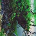 AWERT 48x20 inches Aquarium Background Aquatic Plant River Bed & Lake Fish Tank Background Vinyl