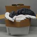 Sealy Heated Throw Wearable Shawl Wrap with Pockets, Reversible Flannel to Sherpa Electric Blanket Hoodie Poncho with 6 Heating Levels & 2-10 Hours Time Settings, 50 X 60 Inch, Charcoal