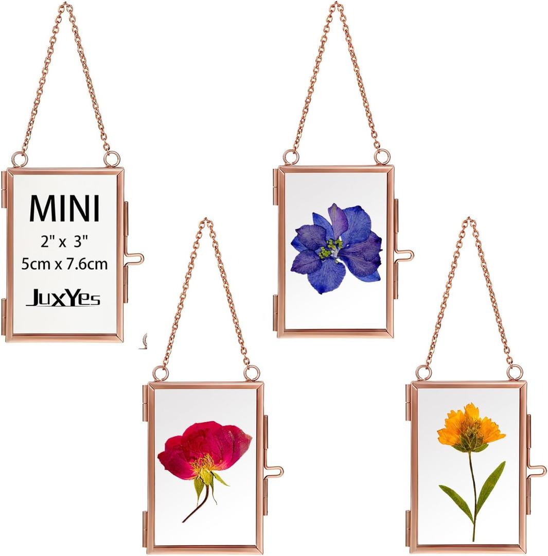 JUXYES Set of 4 Mini Wall Hanging Brass Frames for Pressed Flowers, Double Glass Hanging Picture Artwork Display Frame, Rose Gold Floating Style Gallery Wall Frame for Photo Picture Poster etc, 3x2 Inches (Vertical)