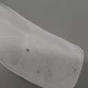 CuteBone Female Dog Diapers with Skirts 3 Pack Reusable Puppy Dresses Pants for Heat Cycle Period, Size: L