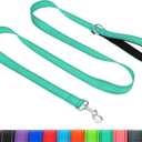 Taglory Dog Leash for Medium Large Dogs, Double-Sided Reflective Leash with Soft Neoprene Padded Handle, 1 inch by 6 ft, Fit Medium Large Breeds 20-150 lbs, Turquoise