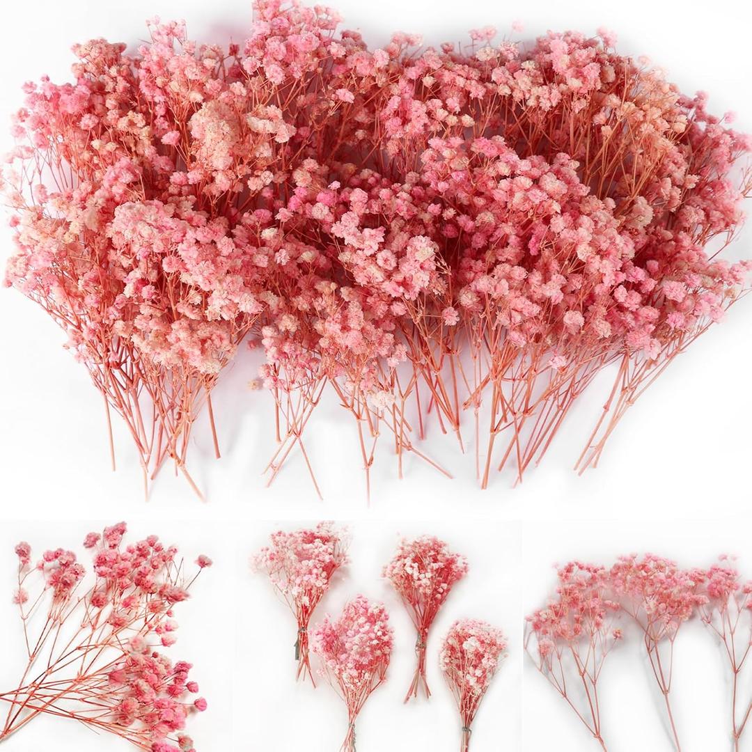 4000+ Mini Pink Dried Babys Breath Flowers 6'', 70Pcs Natural Gypsophila for DIY Art Crafts, Dry Flowers Bulk for Vase Resin Nails, Valentine's Day Decor, Room Table Wedding Gifts