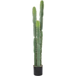 bellacat UV Resistant 5ft Large Artificial Cactus with Black Pot, 60in Realistic Faux Plants Indoor, Lifelike Fake Cactus Plant for Indoor and Outdoor Home Office Store Porch Patio Garden Decor