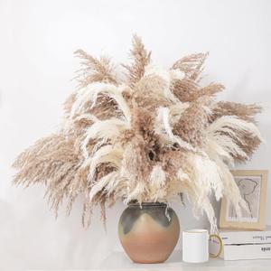 28" inch 20 Stems Large Pampas Grass Decor - Fluffy Brown & White Pampas Grass Decor Tall Pompas Grass for Floor Vase - Boho Home Decor Wedding Decor Natural Flower Bouquet (10 Brown & 10 White)