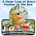 Smart Bird Feeder with Camera-AI Identify 11,000+ Species, 2K HD Auto Capture Birds Video & 64G TF Card, Solar-Powered Wireless Outdoor Design, Birdhouse with Built-in Two-Way Microphone