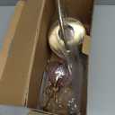 Remiawy Watering Can Indoor Outdoor Stainless Steel Watering Cans for House Plants Long Spout Water Can for Succulent Bonsai Garden Flower(40oz/1300ml)