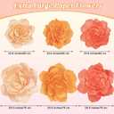 Aneco 6 Pieces Large Paper Artificial Flowers 3D Crepe Tissue Flower Wall Decor for Wedding Birthday Bachelorette Bridal Shower Backdrop Table Centerpieces Party Supplies, Peach Pink, Ivory