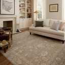Loloi Chris Loves Julia Louisa Collection LOI-04 Taupe/Gold 2'-3" x 3'-10", .38" Pile Height, Accent Rug