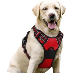 rabbitgoo Dog Harness, No-Pull Pet Harness with 2 Leash Clips, Adjustable Soft Padded Dog Vest, Reflective No-Choke Pet Oxford Vest with Easy Control Handle for Large Dogs, Red, L