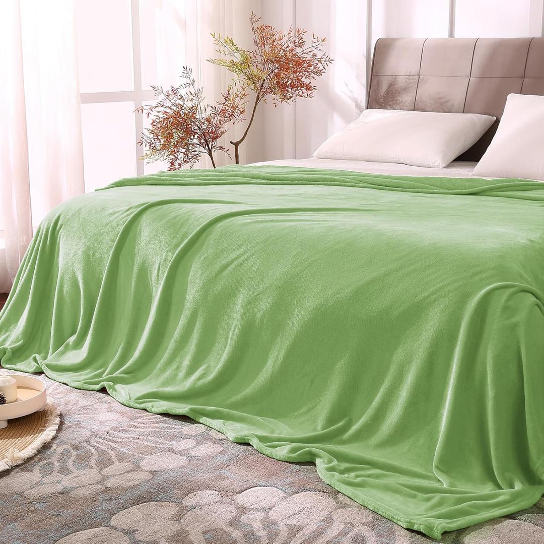 BEDELITE Fleece Blankets Queen Size Grass Green Throw Blankets for Bed, Luxury Plush Cozy Fuzzy Blanket 90x90 inches, Super Soft Warm Lightweight Throw Blanket All Seasons Suitable