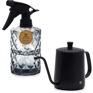 OFFIDIX Watering Can for Indoor Plants,Long Spout Metal Stainless Steel 21 oz Watering Can with 14 oz Glass Plant Mister Spray Bottle for Plant Bonsai