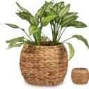 Cabilock Handwoven Hyacinth Planter Basket, Natural Woven Rattan Storage Basket for Small Plants, Eco-Friendly Indoor & Outdoor Decorative Pot Cover for Farmhouse, Boho Home Decor, 25X25X20CM