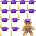 Foilswirl 12 Pcs Mini Graduation Cap with Tassel Mini Plush Mason Jar Small Animal Bachelor Hat Photo Prop Party Supply