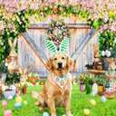 Easter Photo Backdrop for Photography, Spring Rustic Barn Door Theme Backdrops for Photoshoot, Bunny Eggs Green Easter Family Party Decorations 7x5ft