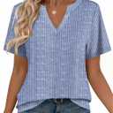 Zeagoo Womens Tops Short Sleeve V Neck Tee Shirts Cute Dressy Casual Clothing Business Work Blouse (Blue, XXL)