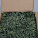 6Ft Realistic Artificial Cedar Pine Garland - Thick Lush Full Faux Greenery Garland for Fireplace Mantle, Indoor Outdoor Christmas Holiday Home Party Decorations